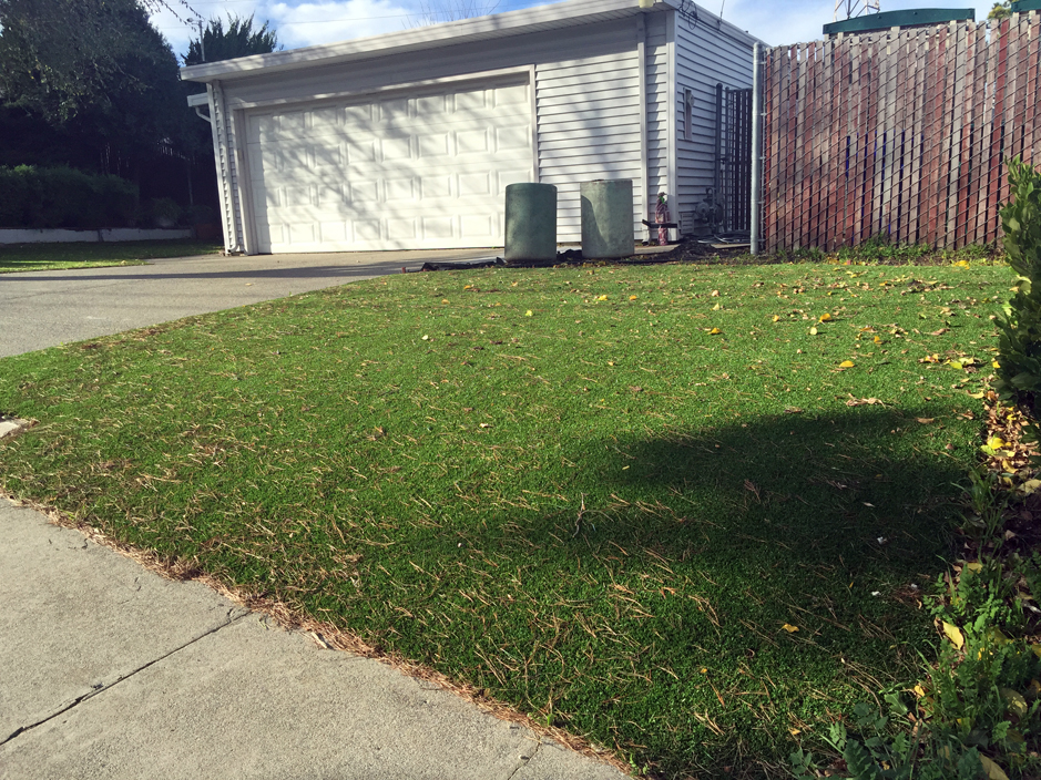 Best Artificial Grass Edinburg Texas Landscape Design Front Yard