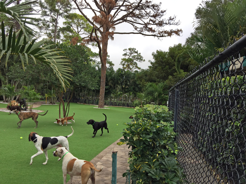 How To Install Artificial Grass Yorktown, Texas Pet Grass, Commercial Landscape