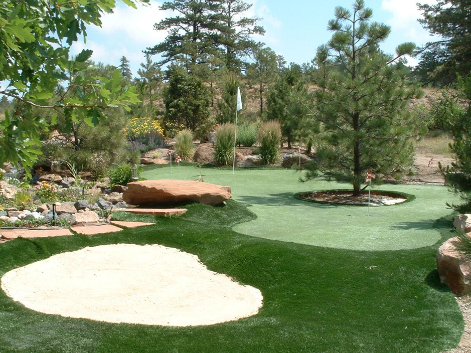 Plastic Grass Lufkin Texas Outdoor Putting Green Backyard