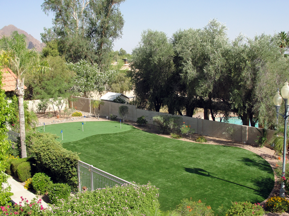 Synthetic Grass Cost Wells Branch Texas Landscape Photos Small