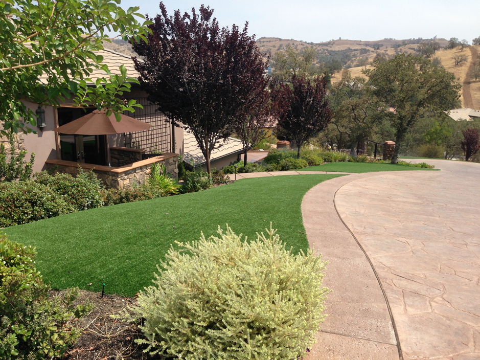 Synthetic Grass West University Place Texas Design Ideas Small Front Yard Landscaping
