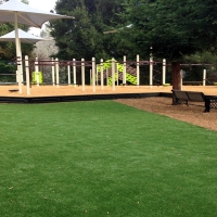 Artificial Grass Cameron, Texas Kids Indoor Playground, Backyard Landscaping