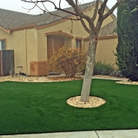 Artificial Grass Carpet Burleson, Texas Design Ideas, Front Yard Design