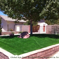 Artificial Turf Cost Grand Prairie, Texas Design Ideas, Front Yard Design