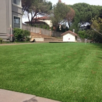 Artificial Turf Installation Comanche, Texas Gardeners, Backyard