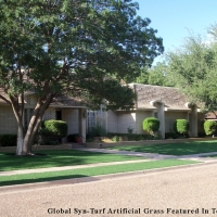 Artificial Turf McKinney, Texas Landscape Ideas, Front Yard