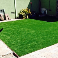 Best Artificial Grass Hutchins, Texas Cat Grass, Small Backyard Ideas