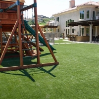 Best Artificial Grass San Benito, Texas Kids Indoor Playground, Backyard Design