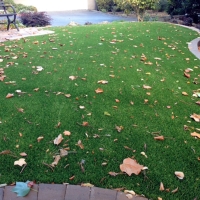 Fake Grass Carpet Early, Texas Landscaping Business, Front Yard Design