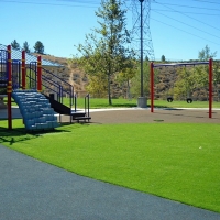 Fake Grass Carpet Wimberley, Texas Roof Top, Parks