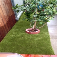 Fake Grass League City, Texas Pet Grass, Small Backyard Ideas