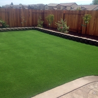 Fake Turf Karnes City, Texas Landscape Ideas, Backyard Landscape Ideas
