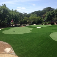 Fake Turf La Marque, Texas Putting Green Carpet, Front Yard Landscape Ideas