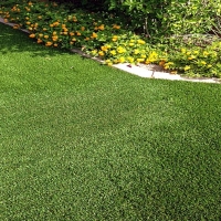Fake Turf Taft, Texas Landscape Photos, Small Front Yard Landscaping