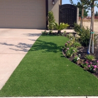 Grass Carpet Crystal City, Texas Garden Ideas, Front Yard