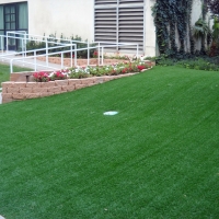 Grass Carpet Wyldwood, Texas Backyard Playground, Front Yard Landscaping Ideas