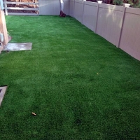 Grass Turf Memphis, Texas Dog Pound, Backyard Landscape Ideas