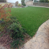Green Lawn Bolivar Peninsula, Texas Landscape Design, Backyard