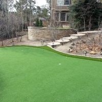 Green Lawn Laredo, Texas Putting Green Carpet, Backyard Landscaping