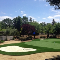 Lawn Services Liberty City, Texas Office Putting Green, Front Yard