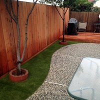 Outdoor Carpet Pearland, Texas Garden Ideas, Backyard Design