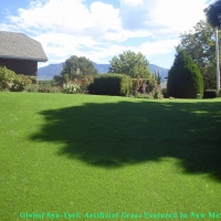 Plastic Grass Arlington, Texas Pet Grass, Backyard Designs