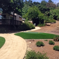 Plastic Grass Cooper, Texas Indoor Putting Green, Front Yard