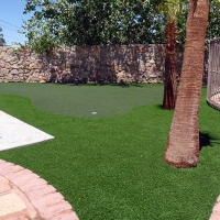 Plastic Grass Ferris, Texas Outdoor Putting Green, Backyard Design