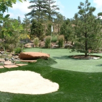 Plastic Grass Lufkin, Texas Outdoor Putting Green, Backyard Landscaping Ideas