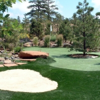 Plastic Grass Seth Ward, Texas Office Putting Green, Backyards