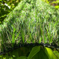 Super Natural Lite Synthetic Grass by Global Syn-Turf