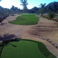 Synthetic Grass Vernon, Texas Artificial Putting Greens, Backyard