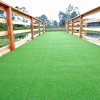 Synthetic Lawn Bunker Hill Village, Texas Dog Hospital, Commercial Landscape