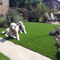 Synthetic Lawn Horseshoe Bay, Texas Fake Grass For Dogs, Front Yard Design