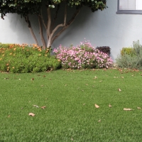 Turf Grass Haltom City, Texas Backyard Deck Ideas, Landscaping Ideas For Front Yard