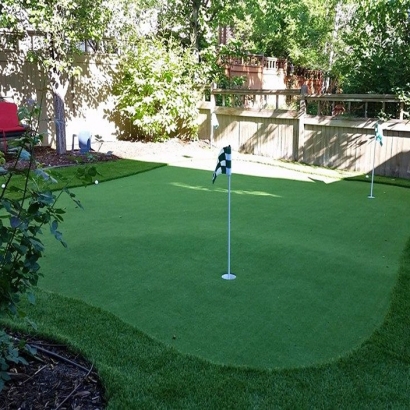 Outdoor Putting Greens & Synthetic Lawn in Trent, Texas