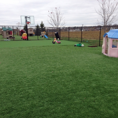 Artificial Grass in Delmita, Texas