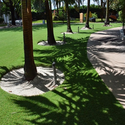 Artificial Grass Carpet Alamo, Texas Lawn And Landscape, Commercial Landscape