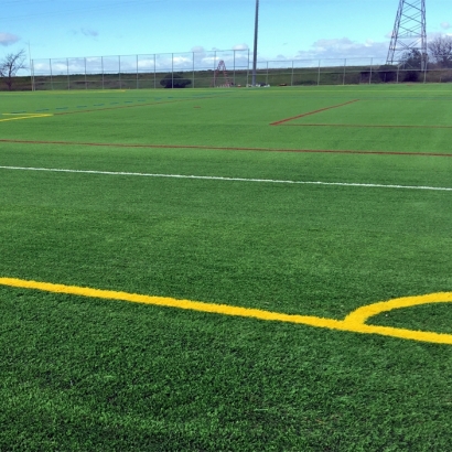 Artificial Grass Carpet Atascocita, Texas Bocce Ball Court