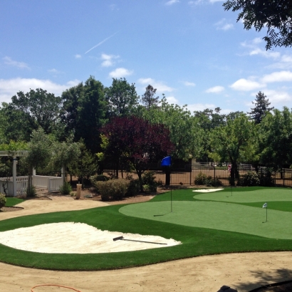 Artificial Grass Carpet Cloverleaf, Texas Best Indoor Putting Green, Front Yard Landscape Ideas