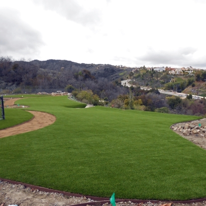 Synthetic Lawns & Putting Greens in Barrett, Texas