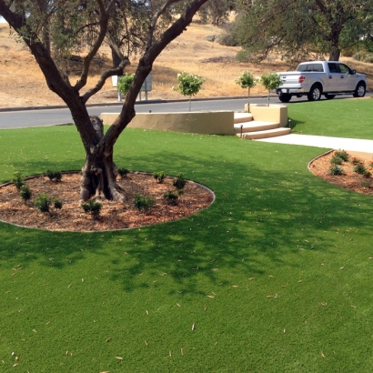 Outdoor Putting Greens & Synthetic Lawn in Springlake, Texas