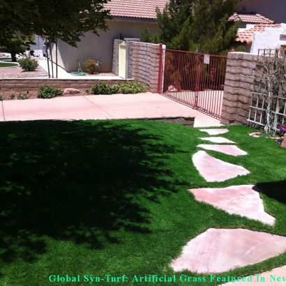 Artificial Grass Carpet Mesquite, Texas Garden Ideas, Pavers