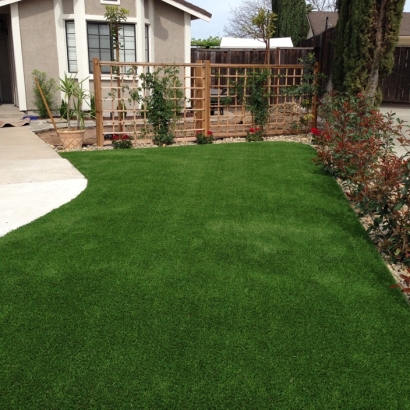 Artificial Grass Carpet Nacogdoches, Texas Lawn And Garden, Front Yard Landscaping