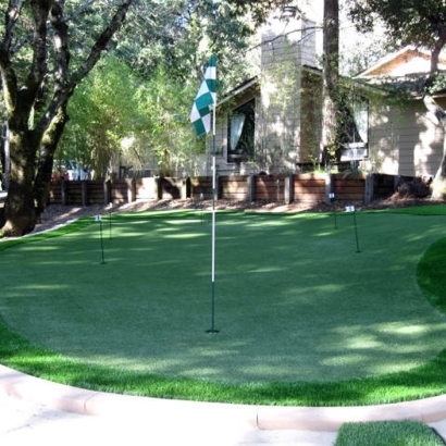 Artificial Grass in Palmview South, Texas