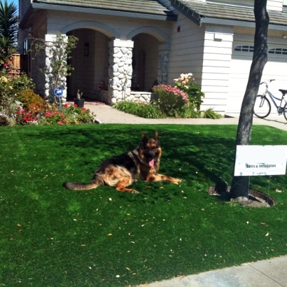 Synthetic Turf in McAllen, Texas