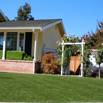 Fake Grass in San Carlos Number 1 Colonia, Texas