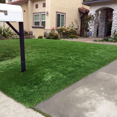 Synthetic Turf in Kinney County, Texas