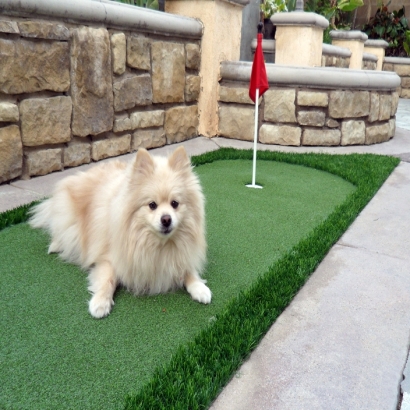 Fake Grass in Goliad County, Texas