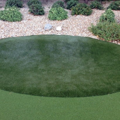 Fake Grass for Yards, Backyard Putting Greens in Laguna Park, Texas